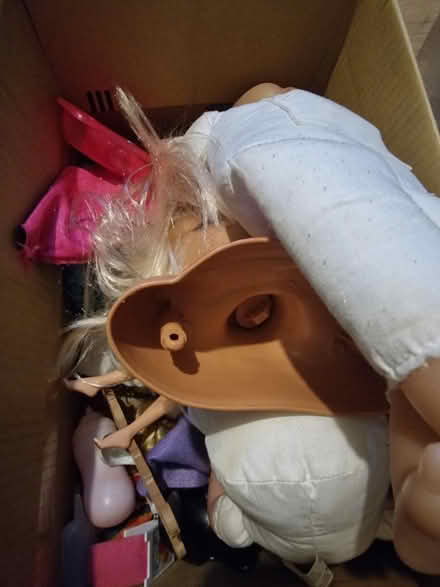 Photo of free Small lot of girls dolls (Luton LU2) #3