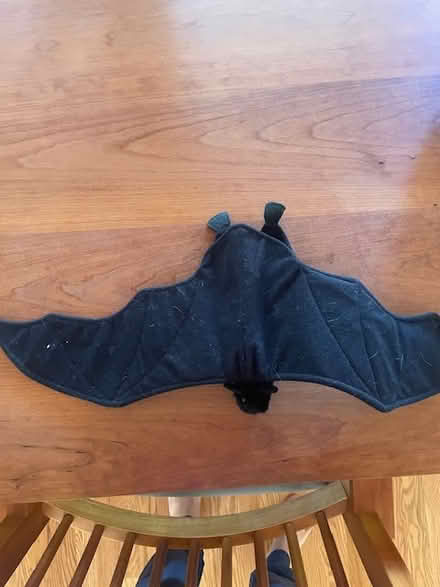 Photo of free Bat decoration (East Boulder) #1