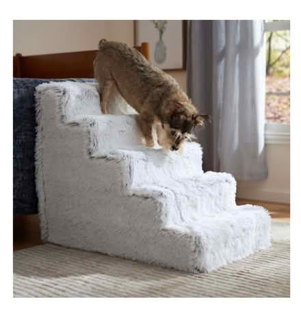 Photo of Pet Stairs (Jefferson Park) #1