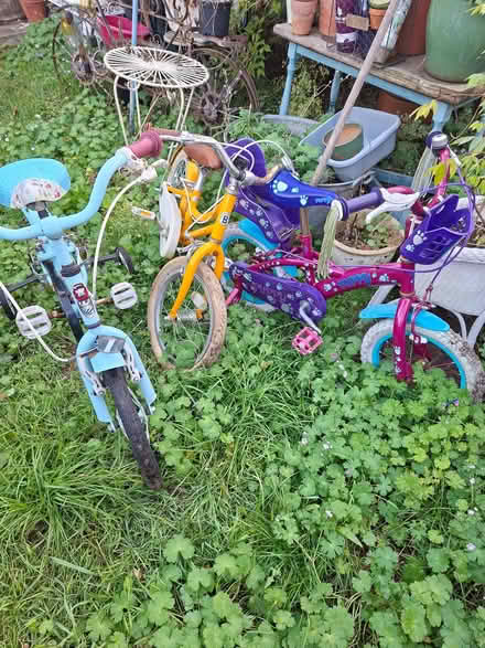 Photo of free 4 kids bikes (Tuckswood NR4) #4