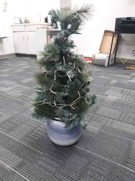Photo of free Christmas trees, light, fall wreath ((south) Central Park - Denver) #2