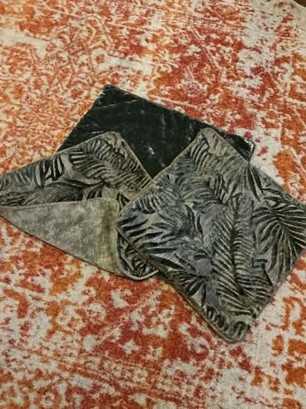 Photo of free 3 exc cond velvety cushion covers (Bedfont TW14) #2
