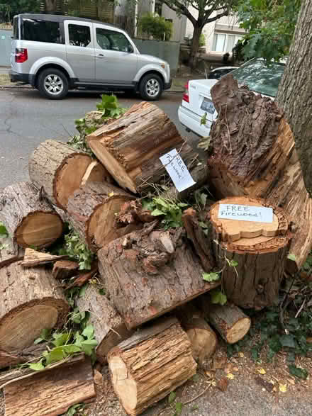 Photo of free fire wood (West Queen Anne) #2