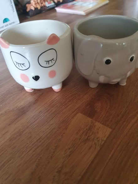 Photo of free 2 x small plant pots (Enfield EN2) #1
