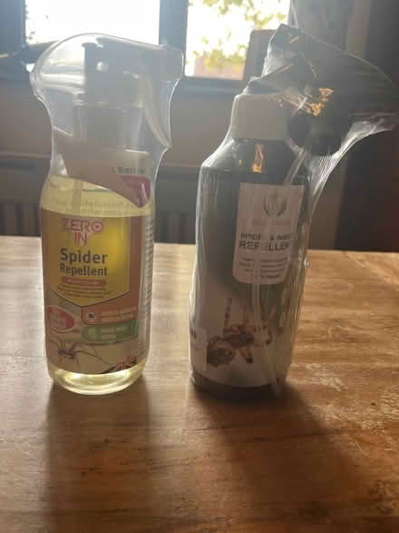 Photo of free Spider Repellant (Chesham HP5) #1