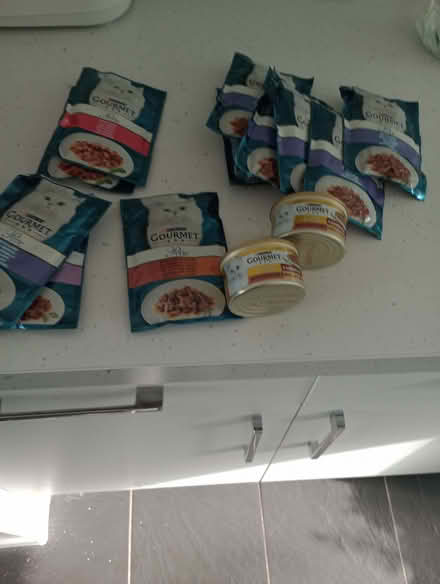 Photo of free Gourmet cat food (Upper Bevendean BN2) #1