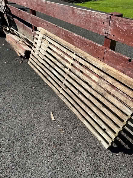 Photo of free Wood (Caton) #1