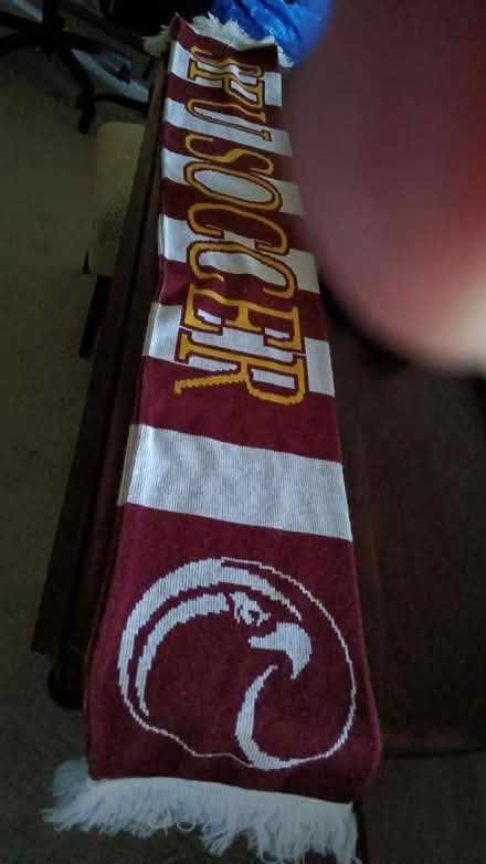 Photo of free SPU scarf (Magnolia 98199) #1