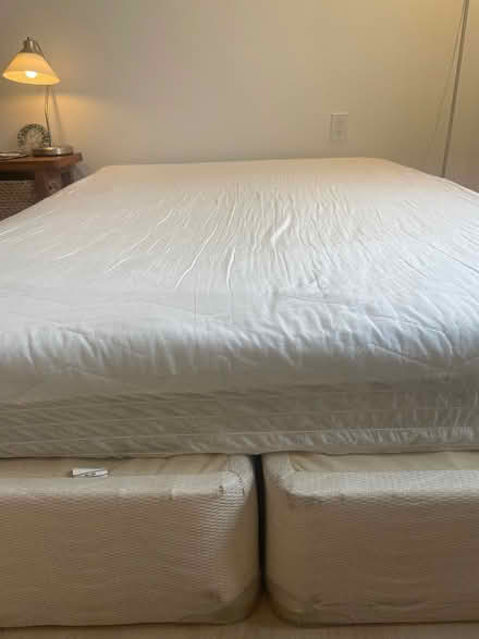 Photo of free 2 box springs + 1 single mattress (Lawrence west and Allen Road) #2