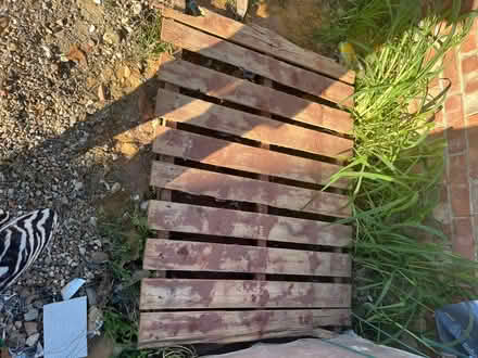 Photo of free Wooden pallets (Ashford) #1