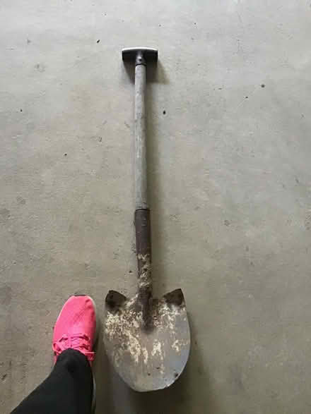 Photo of free Old garden tools (Farrer, Woden Valley.) #1