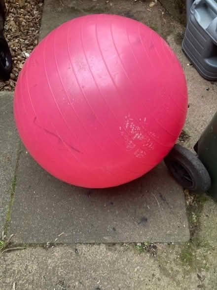 Photo of free Misc: pop up tents, yoga ball, gdn forks, ladies bike, etc. (Halton LA2) #3