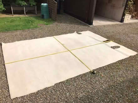 Photo of free Carpet (Bellingham NE48) #1