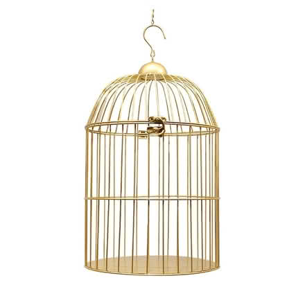 Photo of Bird cage to borrow for 2 weeks (Deer Park, Fairfax) #1