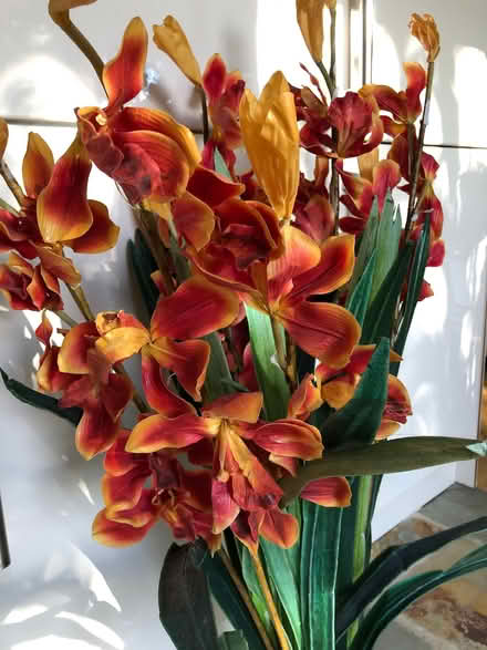 Photo of free Synthetic Flowers (Moorgreen NG16) #3