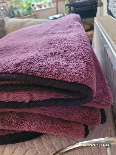 Photo of free Pinky/purple blanket/throw (Moseley B13) #1