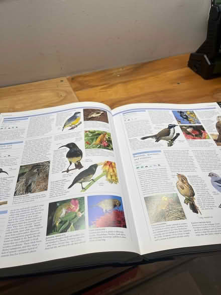 Photo of free Animals Book (Grove Rd and Harris) #2