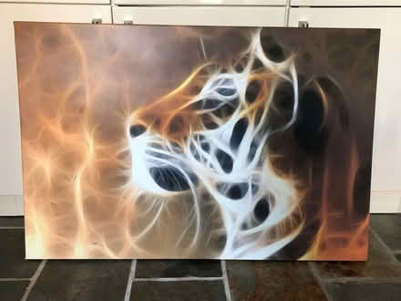 Photo of free Tiger picture (Moorgreen NG16) #1