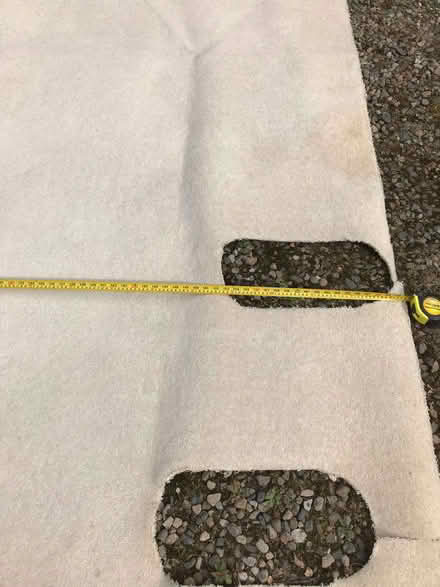 Photo of free Carpet (Bellingham NE48) #2