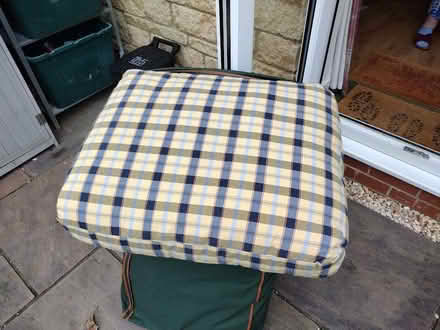 Photo of free Four feather-filled seat cushions (Radstock) #2