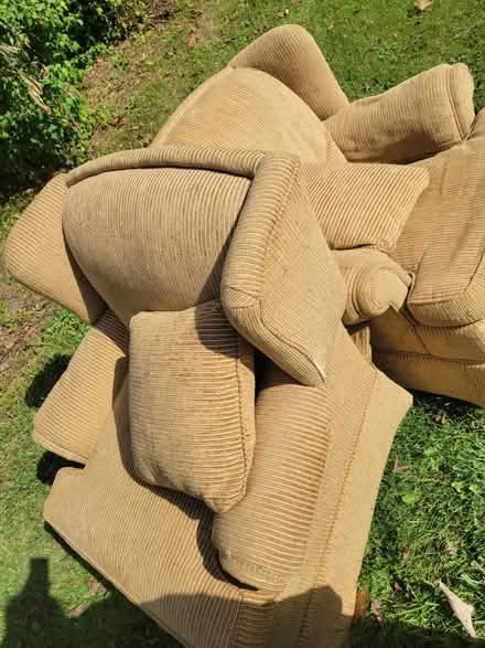 Photo of free Curb- Set of 2 arm chairs (Willis) #1