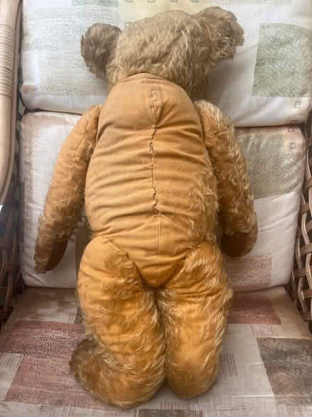 Photo of free Old teddy bears for restoration (Lancing BN15) #3