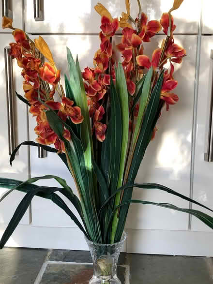 Photo of free Synthetic Flowers (Moorgreen NG16) #1