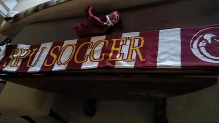 Photo of free SPU scarf (Magnolia 98199) #2