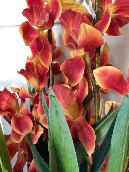 Photo of free Synthetic Flowers (Moorgreen NG16) #2