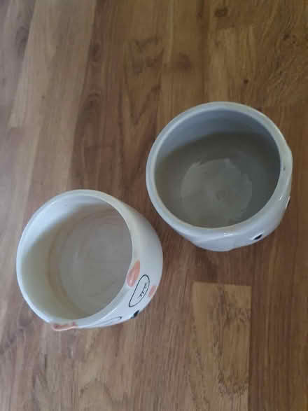 Photo of free 2 x small plant pots (Enfield EN2) #2