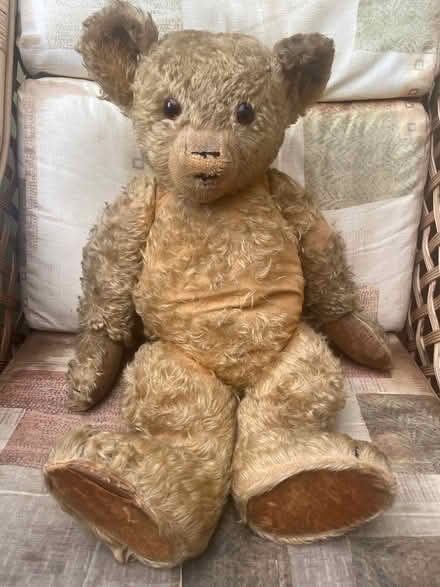 Photo of free Old teddy bears for restoration (Lancing BN15) #2