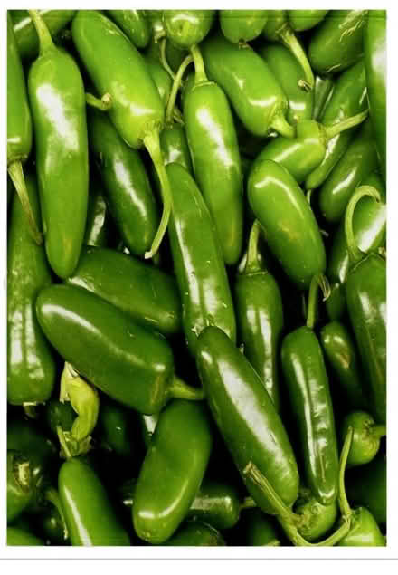 Photo of Jalepeno Peppers (South Chambersburg) #1