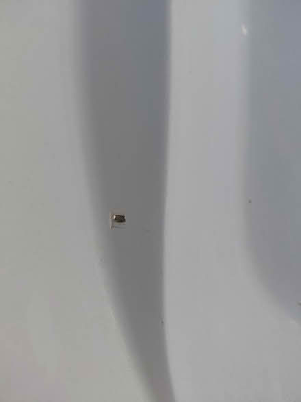 Photo of free Bathtub 30x60" (Appleby/New Street, Burlington) #2