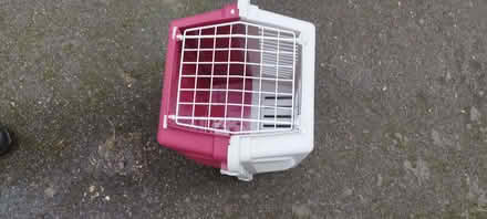 Photo of free cat carrier (Morden SM4) #1