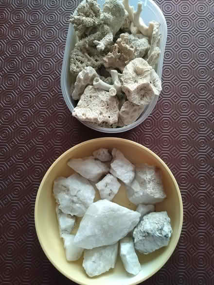 Photo of free Old Coral & Stones (Haydon Wick SN25) #1