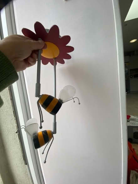 Photo of free Ceiling lamp (Bray near Killarney Hieghts) #1