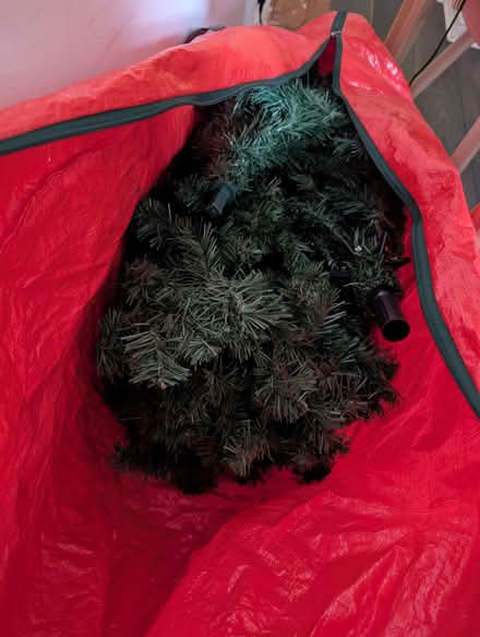 Photo of free Christmas tree (Woodley RG5) #2