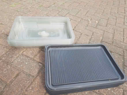 Photo of free 15 large sandwich trays with lids (Putnoe MK41) #1