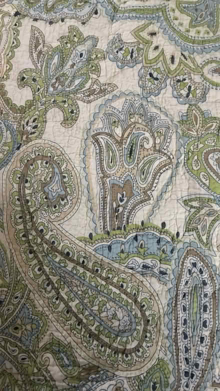 Photo of free Paisley printed queen bedding (Poolesville, Maryland) #1