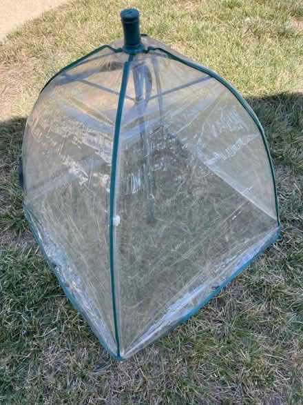 Photo of free Plant frost covers (Camden and Leigh) #1