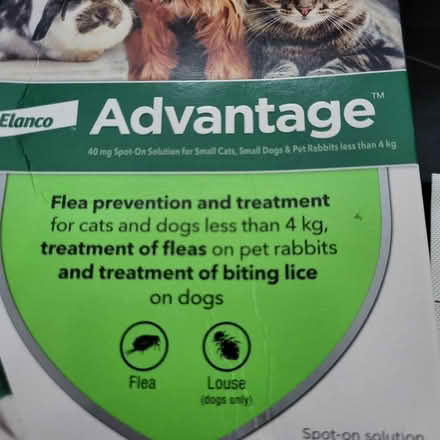 Photo of free 2 x Advantage flea spot on >4kg (Oaklands nr Welwyn AL6) #1