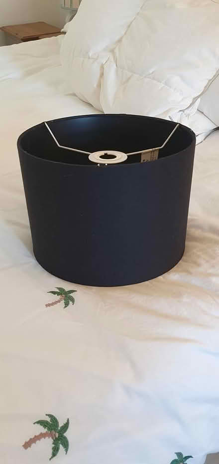 Photo of free large black shades and bottle lamp (Hengistbury Head BH6) #3
