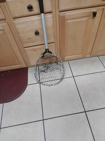 Photo of free fishing nets (Largo near Ulmerton & Starkey) #1