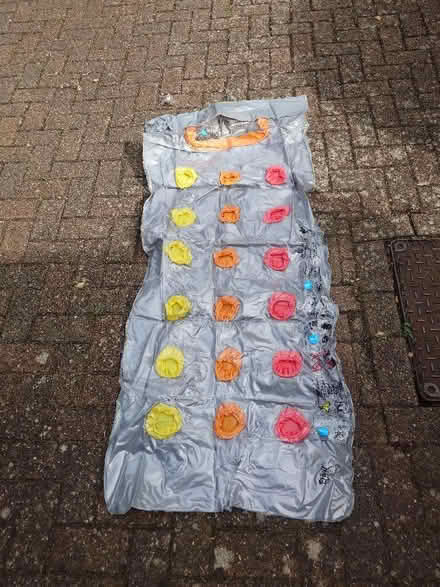 Photo of free Inflatable pool lounger (Putnoe MK41) #1