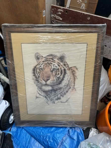 Photo of free Large Tiger print in frame 72x85cm (CM12) #1
