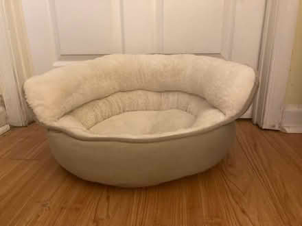 Photo of free Pet Bed - Cat/Small Dog - Howard Co (Scaggsville) #1