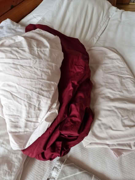 Photo of free Single Bedding (Heaton Park M25) #1