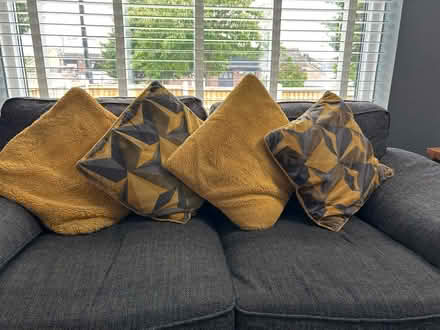 Photo of free Cushions (High Green S35) #1