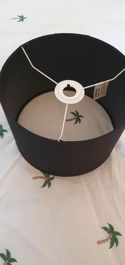 Photo of free large black shades and bottle lamp (Hengistbury Head BH6) #2