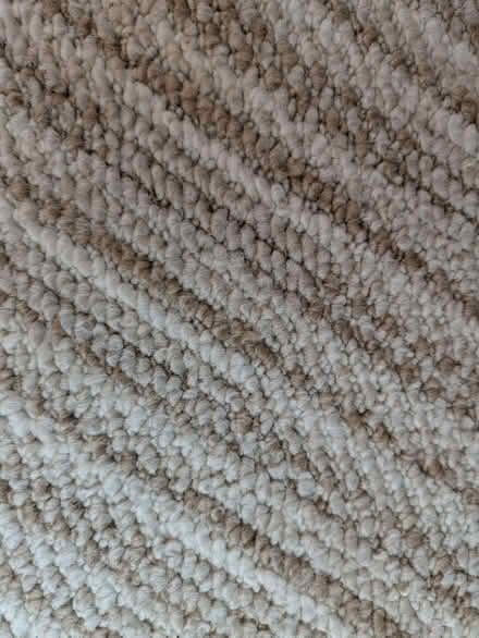 Photo of free Carpet (Beccles NR34) #1